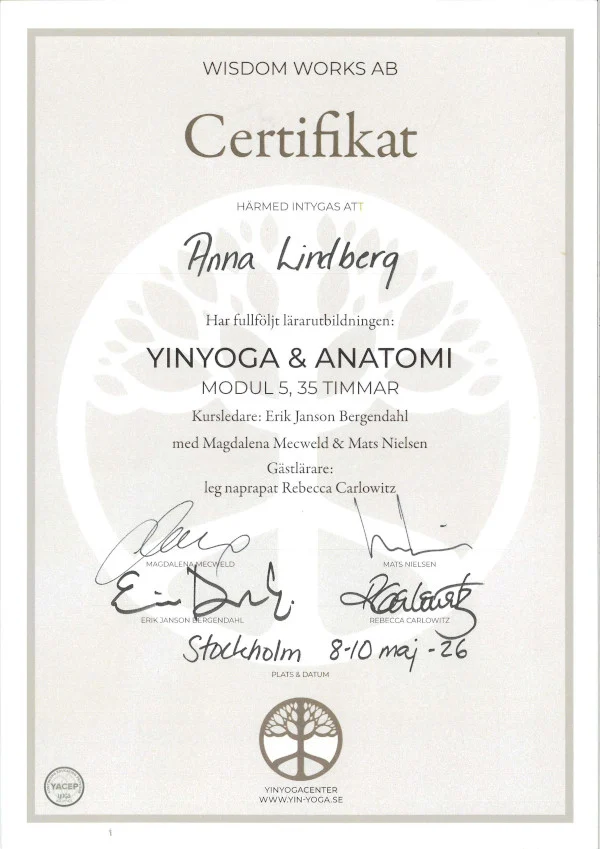 Yinyoga & anatomi