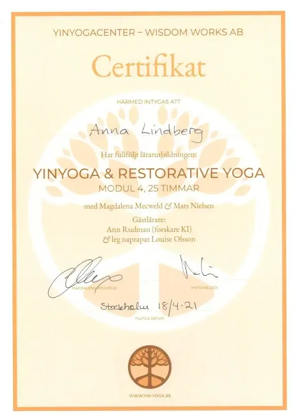 Diplom modul 4 yinyoga