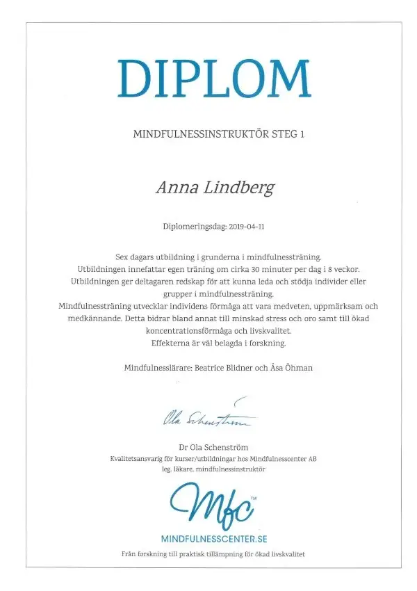 Diplom Mindfulnesscenter
