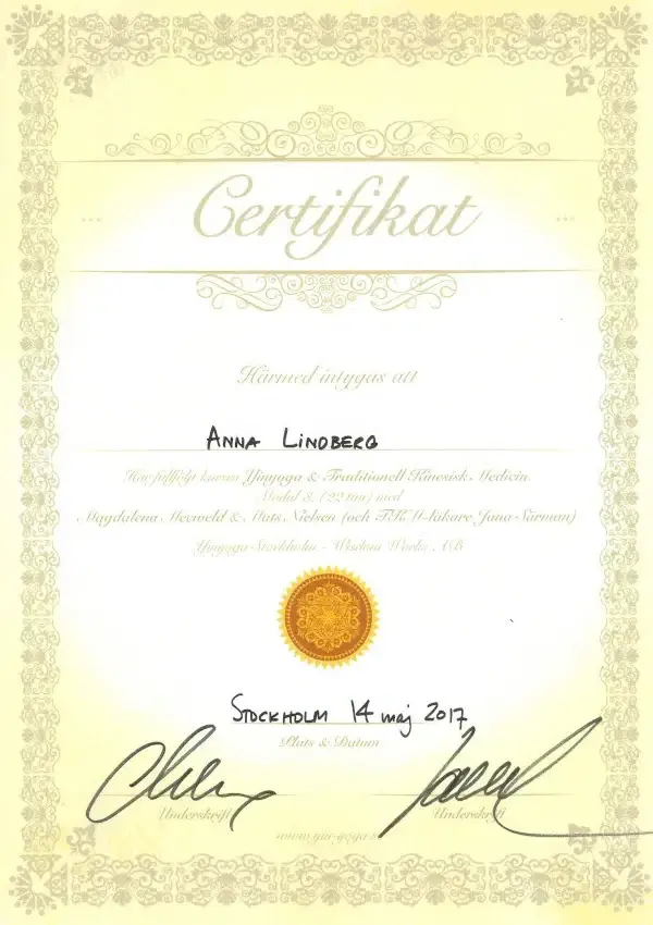Diplom modul 3 yinyoga